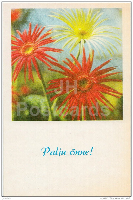 Birthday Greeting Card - Gerbera - flowers - Estonia USSR - used - JH Postcards
