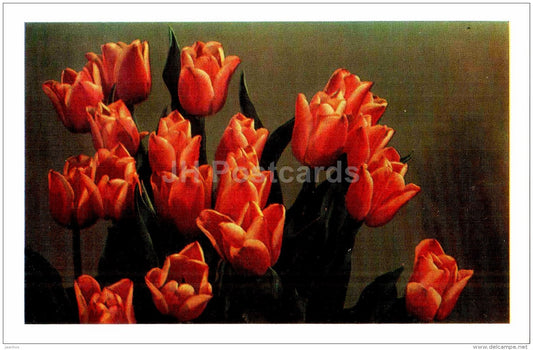 bouquet of tulips - flowers - Russia USSR - unused - JH Postcards