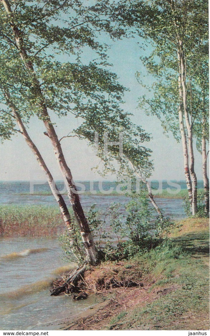 Razliv - On the Bank of Razliv Lake - Lenin Memorial - 1969 - Russia USSR -  unused - JH Postcards