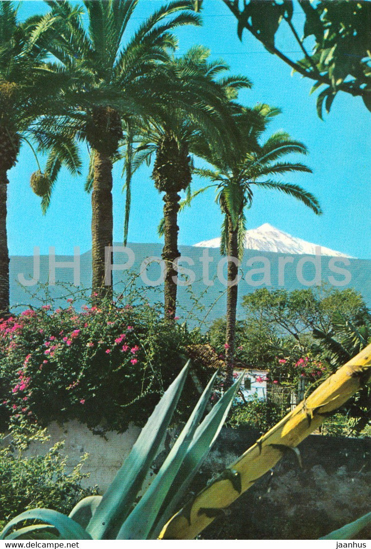 El Teide - Tenerife - El Volcan visto desde Puerto de la Cruz - volcano - 236 - Spain - used - JH Postcards
