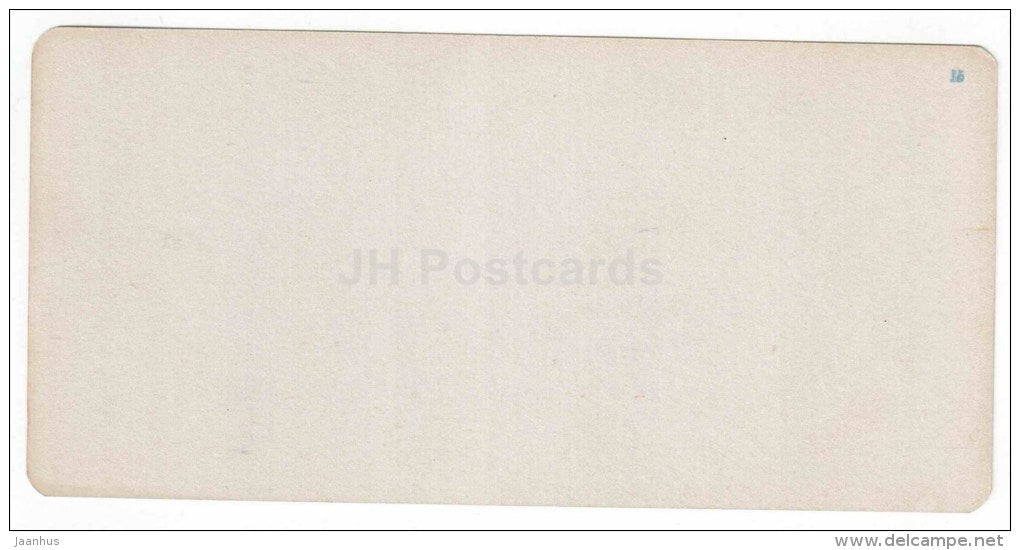 Dvoryanskaya street - hotel - Pyatigorsk - Caucasus - Russia - Russie - stereo photo - stereoscopique - old photo - JH Postcards