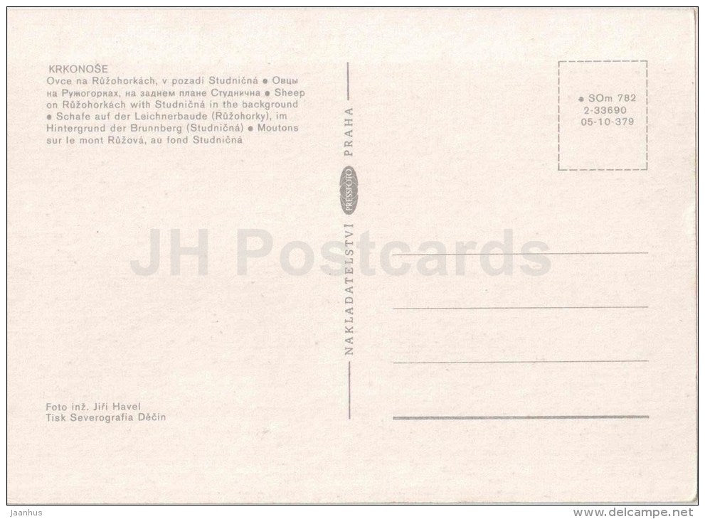 Krkonose - Sheep on Ruzohorkach with Studnica in the background - Czechoslovakia - Czech - unused - JH Postcards