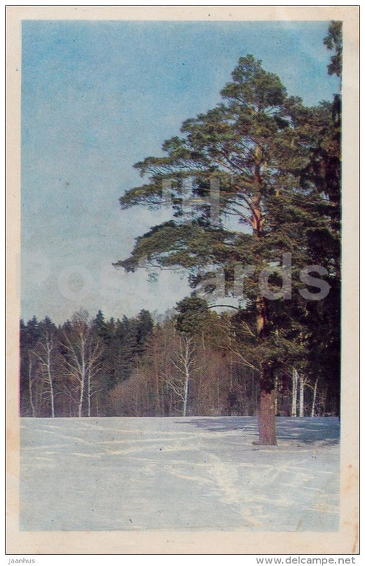 winter - 1968 - Russia USSR - unused - JH Postcards