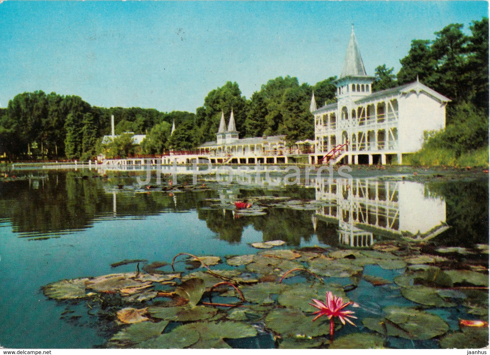 Heviz - Healt Resort - water lily - 1972 - Hungary - used - JH Postcards