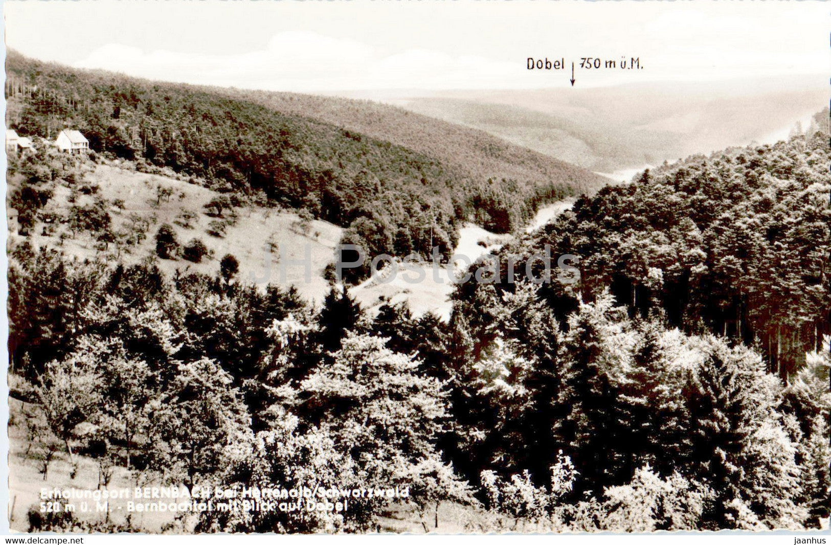 Erholungsort Bernbach b Herrenalb - Gasthaus Pension zum Lowen - Bernbachtal mit Dobel - old postcard - Germany - unused - JH Postcards