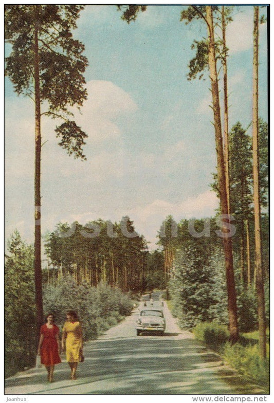 road to the lake Shartash - Sverdlovsk - 1965 - Russia USSR - unused - JH Postcards