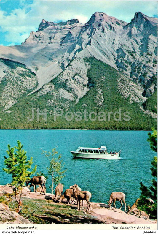 Canadian Rockies - Cruise of the Devil's Cap on beautiful Lake Minnewanka - boat - FC 502 - Canada - unused - JH Postcards