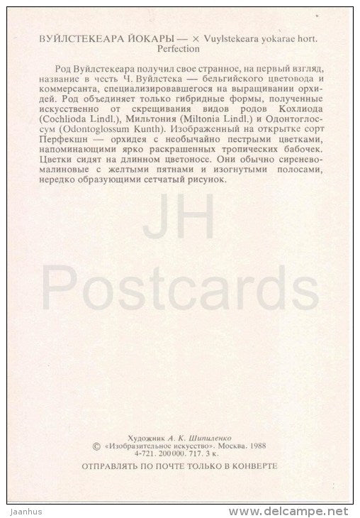 Vuylstekeara Yokara - orchid - wild flowers - 1988 - Russia USSR - unused - JH Postcards