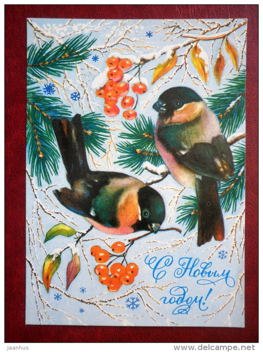 New Year greeting card - illustration by R. Dostyan - bullfinch - birds - rowan berries - 1981 - Russia USSR - used - JH Postcards