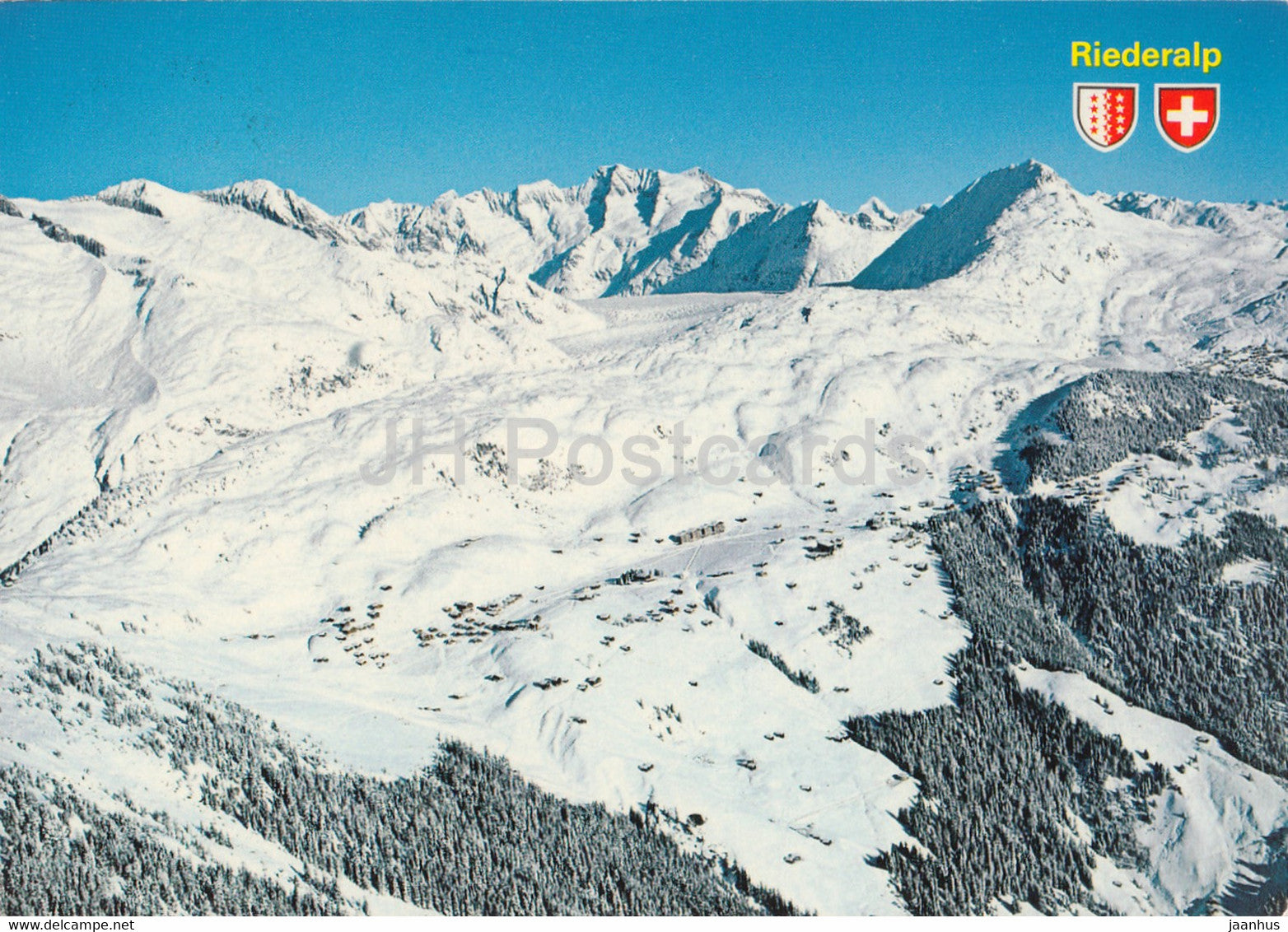 Riederalp 1920 m am Grossen Aletschgletscher - Wannenhorn - Eggishorn - Bettmerhorn - 44666 - 1981 - Switzerland - used - JH Postcards