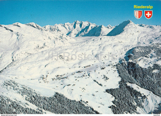 Riederalp 1920 m am Grossen Aletschgletscher - Wannenhorn - Eggishorn - Bettmerhorn - 44666 - 1981 - Switzerland - used - JH Postcards