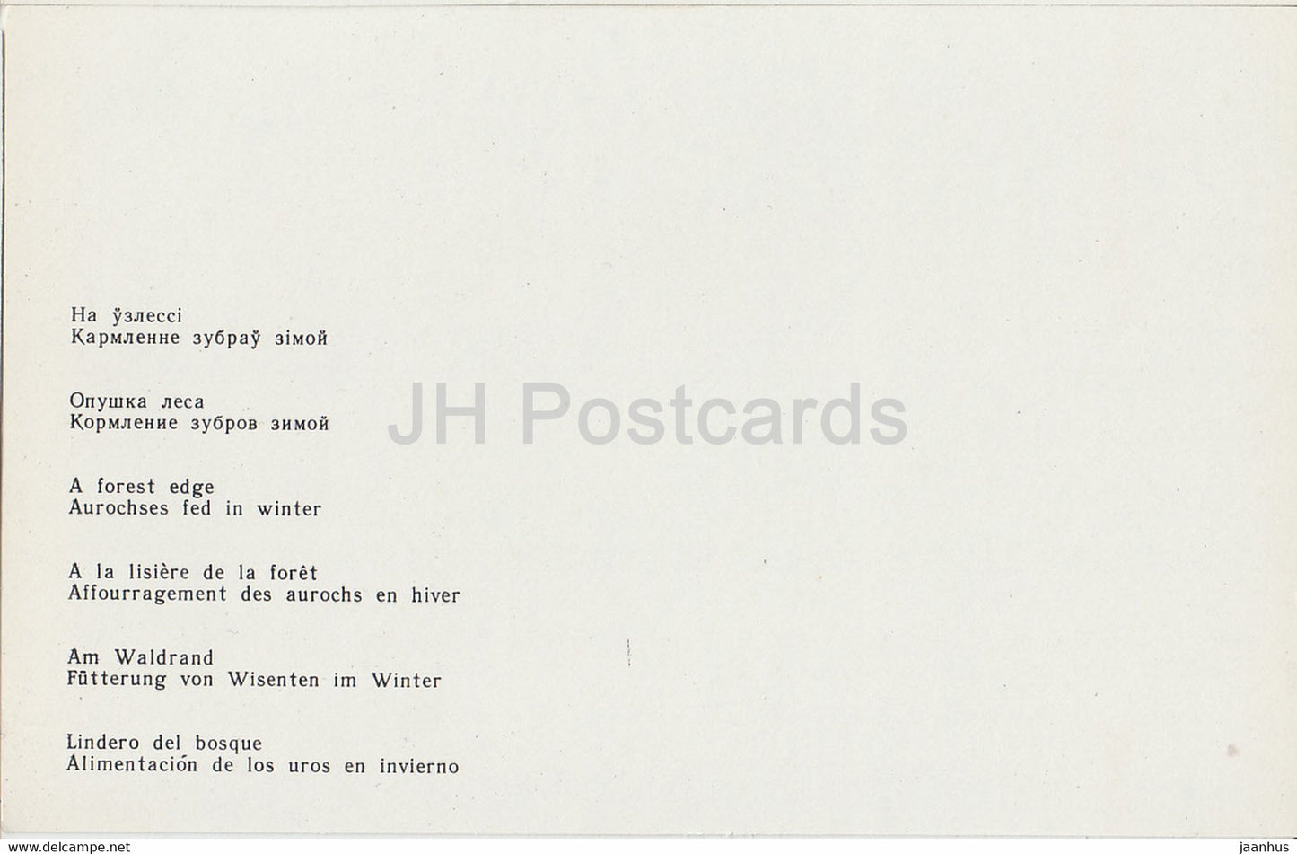 Belovezhskaya Pushcha National Park - a forest edge - Auroches fed in winter - 1981 - Berarus USSR - unused