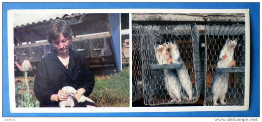 in fur farm - Karjala - Karelia - 1976 - Russia USSR - unused - JH Postcards