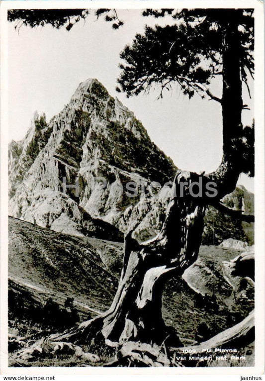 Piz Plavna - Val Minger - Nat Park - 1069 - old postcard - 1957 - Switzerland - used - JH Postcards