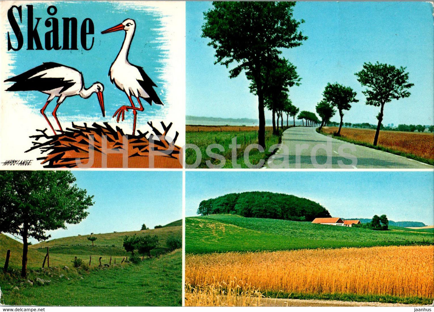 Skane - stork - birds - multiview - 1976 - Sweden - used - JH Postcards