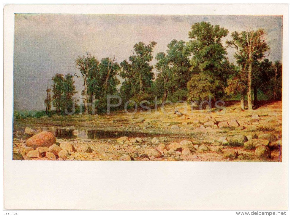 painting by I. Shishkin - Coast of oak grove in Sestroretsk - russian art - unused - JH Postcards