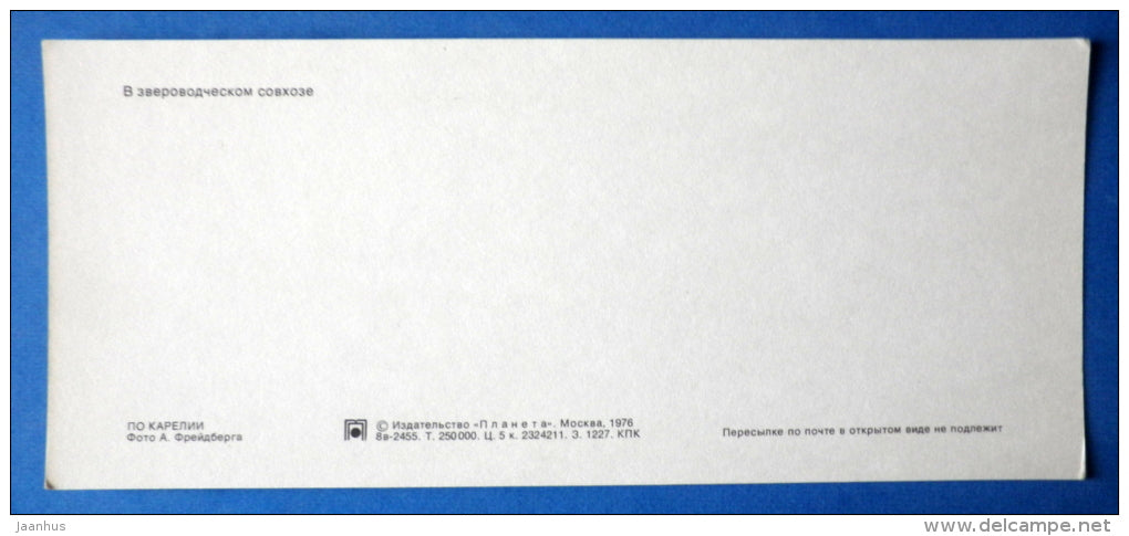 in fur farm - Karjala - Karelia - 1976 - Russia USSR - unused - JH Postcards