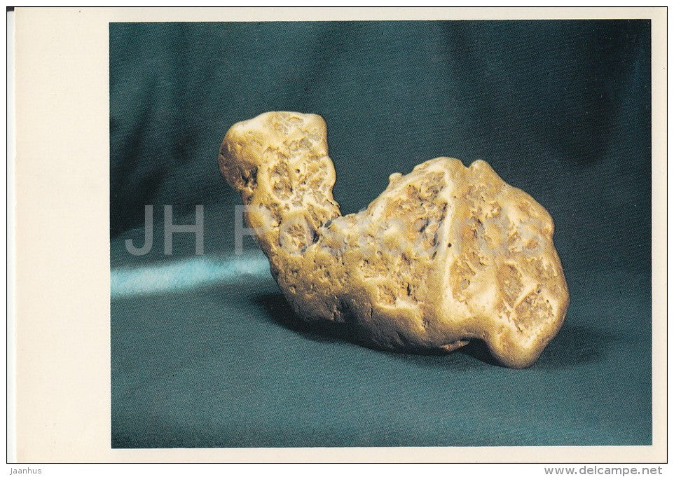 The Camel Gold Nugget - Diamond Fund of Russia - 1981 - Russia USSR - unused - JH Postcards