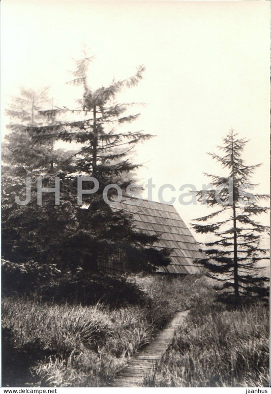 Naturschutzgebiet Georgenfelder Hochmoor - 3 - Germany DDR - unused - JH Postcards