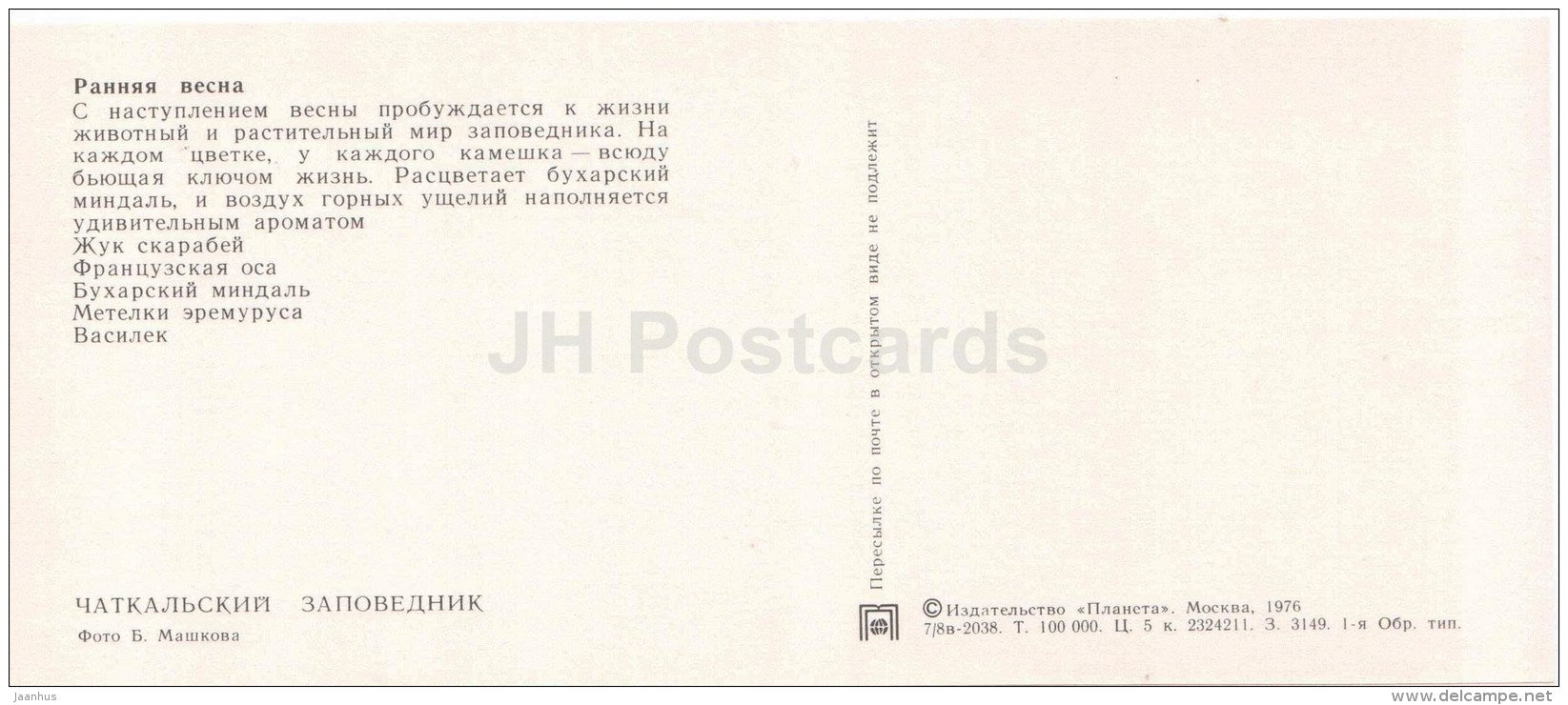 scarabeus - wasp - Bukhara almonds - cornflower - spring - Chatkalsky National Park - 1976 - Uzbekistan USSR - unused - JH Postcards
