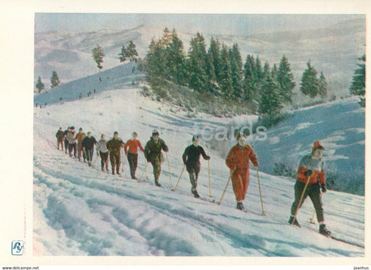 Carpathian Mountains - Karpaty - On a Winter Morning - ski - skiing - 1964 - Ukraine USSR - unused - JH Postcards