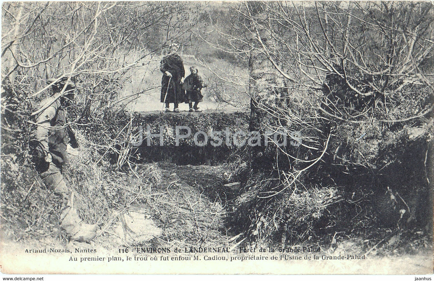 Foret de la Grande Palud - Au premier plan - Environs de Landerneau - 116 - old postcard - France - used - JH Postcards