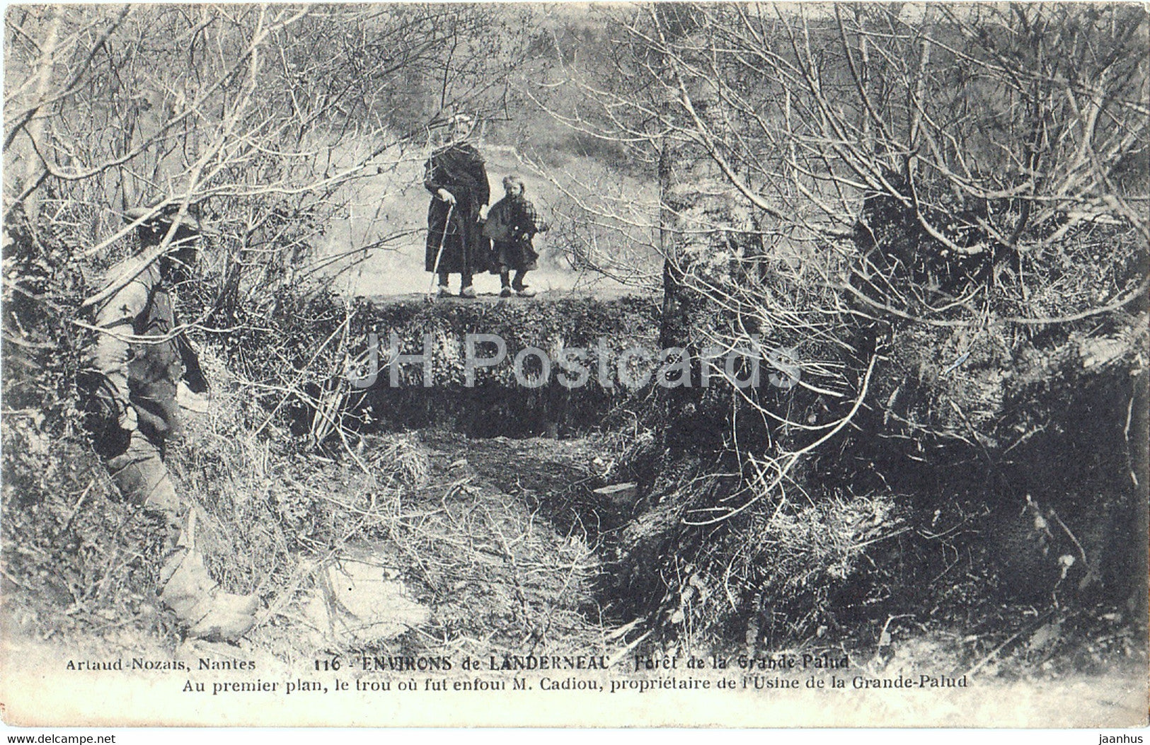 Foret de la Grande Palud - Au premier plan - Environs de Landerneau - 116 - old postcard - France - used - JH Postcards