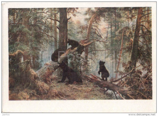 painting by I. Shishkin - Morning in a Pine Forest , 1889 - bear - russian art - unused - JH Postcards