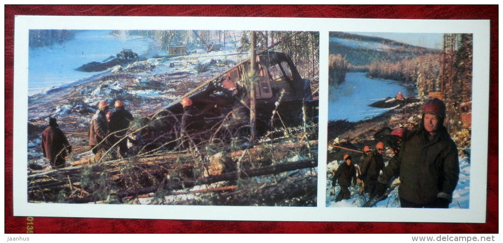 logging - BAM - Baikal-Amur Mainline , construction of the railway  - 1975 - Russia USSR - unused - JH Postcards