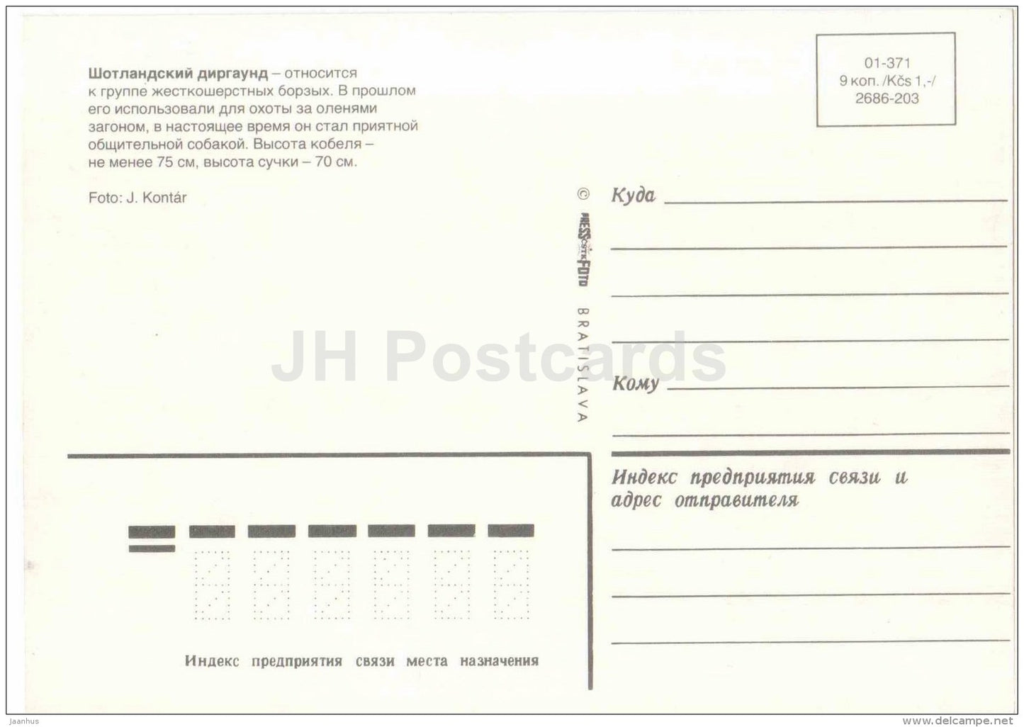 Scottish Deerhound - dog - Russia USSR - unused - JH Postcards