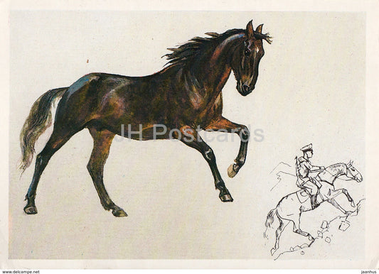 Kabardian horse - illustration by A. Glukharev - horses - animals - 1988 - Russia USSR - unused - JH Postcards