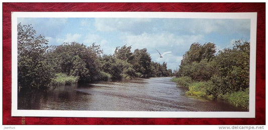 Matsalu National Park - river - seagull - birds - 1983 - Estonia - USSR - unused - JH Postcards