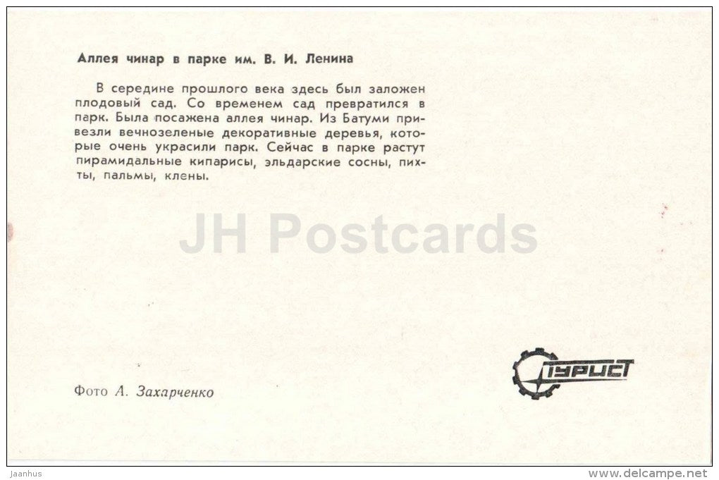 plane trees alley in Lenin park - Kirovabad - Ganja - 1974 - Azerbaijan USSR - unused - JH Postcards