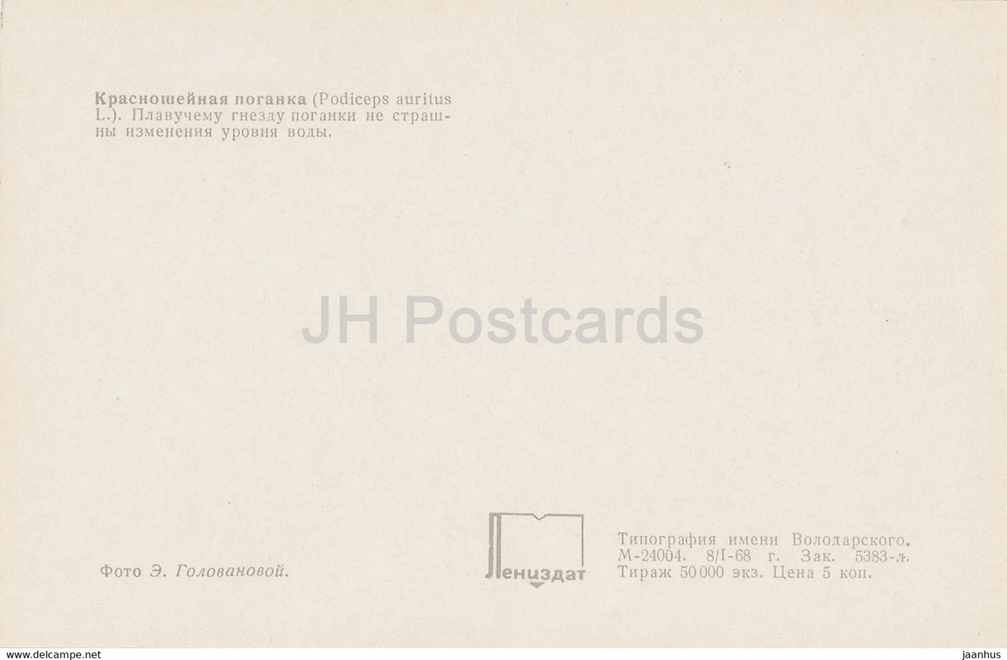 Gehörnter Haubentaucher - Podiceps auritus - Vögel - 1968 - Russland UdSSR - unbenutzt