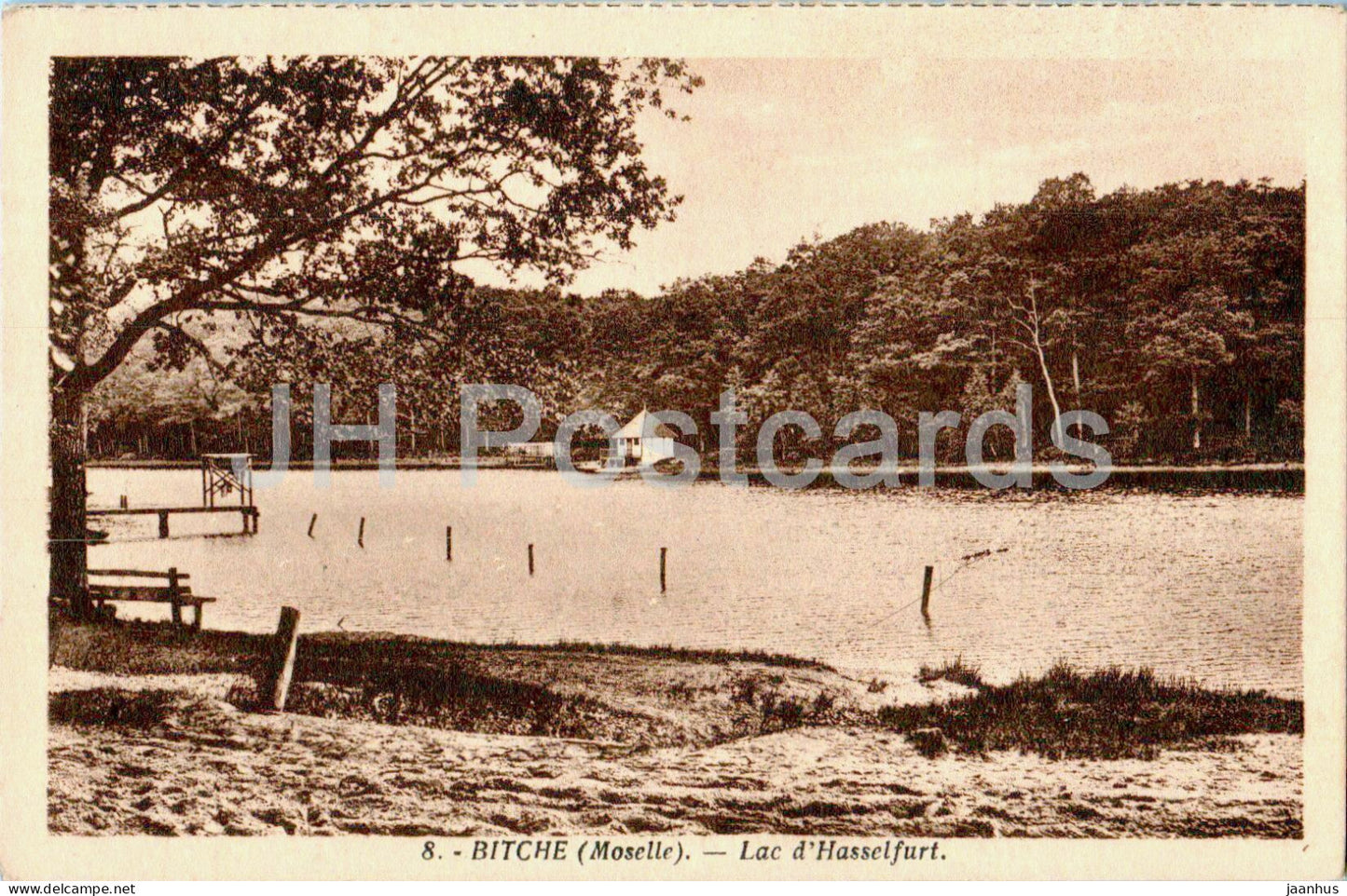 Bitche - Lac d'Hasselfurt - 8 - old postcard - France - used - JH Postcards
