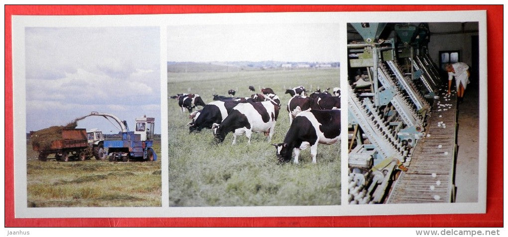 Combine - Poultry - Kolhoz herd - cows - silage - Pskov Land - 1983 - Russia USSR - unused - JH Postcards