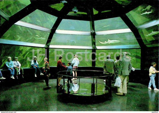 Nausicaa - Anneau des requins - Shark encounter tank - aquarium - fish - 1987 - France - unused - JH Postcards