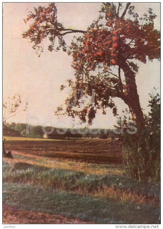 autumn in Zhimatijo - old postcard - Lithuania USSR - unused - JH Postcards