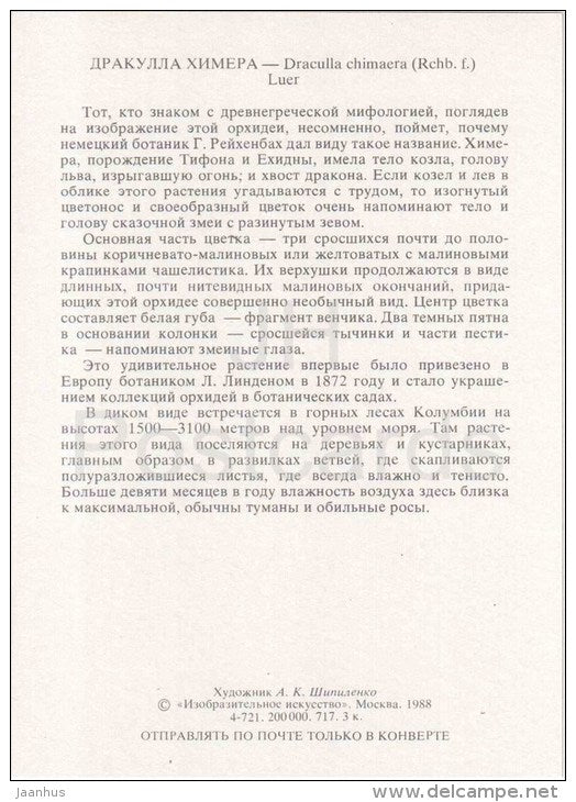The Chimaera Dracula - Dracula chimaera - orchid - wild flowers - 1988 - Russia USSR - unused - JH Postcards