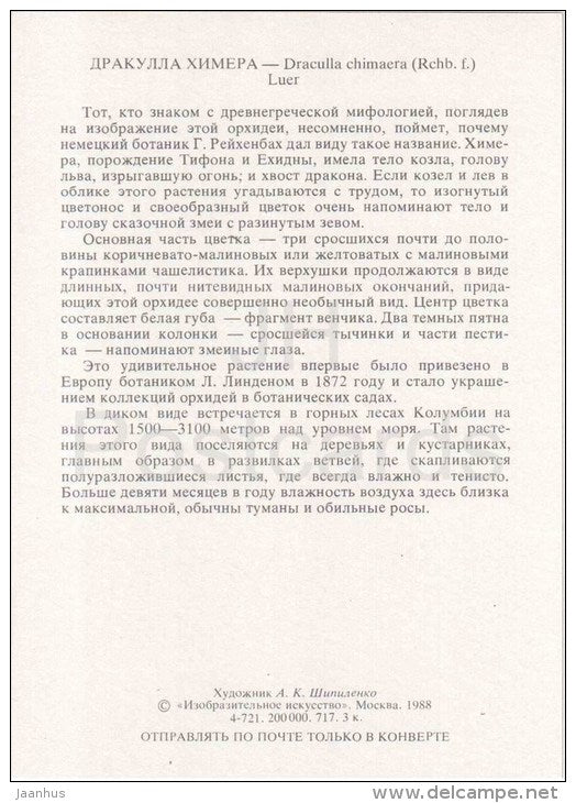 The Chimaera Dracula - Dracula chimaera - orchid - wild flowers - 1988 - Russia USSR - unused - JH Postcards