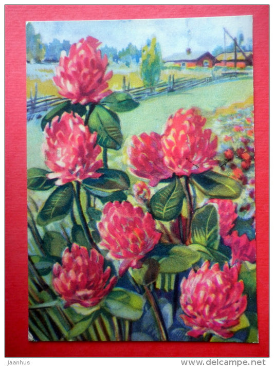 Greeting Card - flowers - farm - EUROPA CEPT - Finland - sent from Finland Turku to USSR Estonia 1986 - JH Postcards