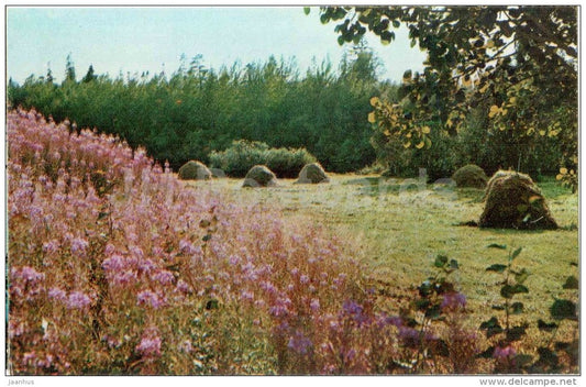 nature - haystack - Solovetsky Islands - 1971 - Russia USSR - unused - JH Postcards