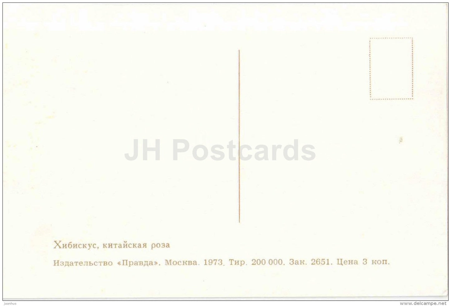 Shoeblackplant - Chinese Hibiscus - flowers - 1973 - Russia USSR - unused - JH Postcards