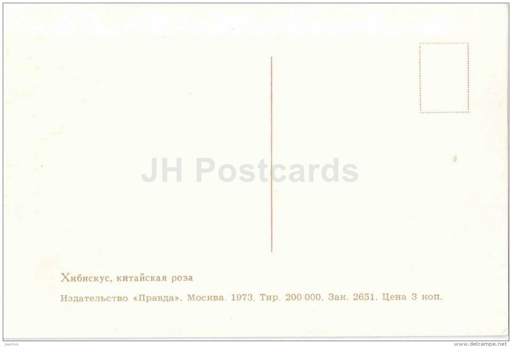 Shoeblackplant - Chinese Hibiscus - flowers - 1973 - Russia USSR - unused - JH Postcards