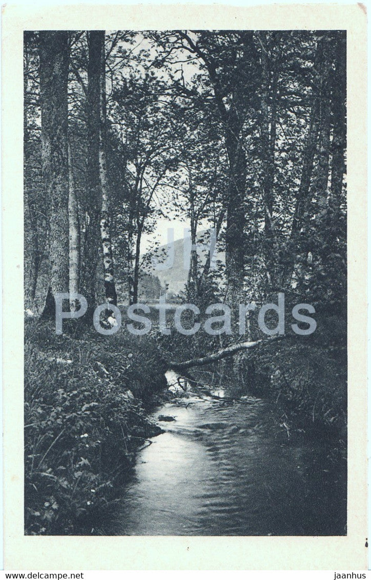 Bach am Waldrand - old postcard - Switzerland - 1926 - used - JH Postcards