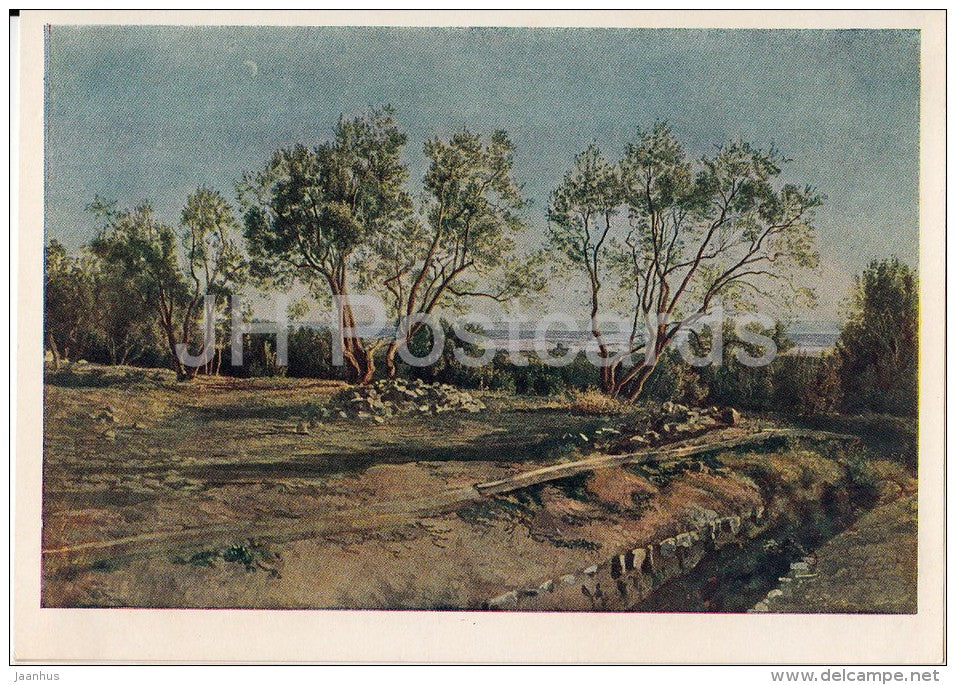 painting by A. Ivanov - Olive in Albano - Russian art - 1954 - Russia USSR - unused - JH Postcards