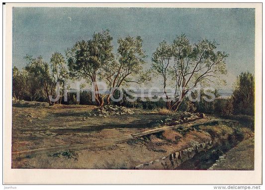 painting by A. Ivanov - Olive in Albano - Russian art - 1954 - Russia USSR - unused - JH Postcards