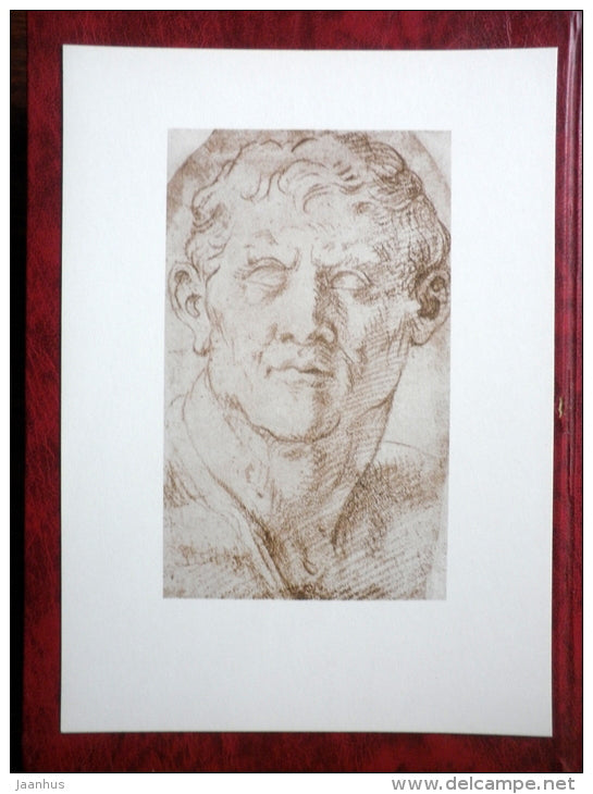 Drawing by Peter Paul Rubens - Head of Menander , between 1601 - 1603 - maxi card - flemish art - 1977 - unused - JH Postcards