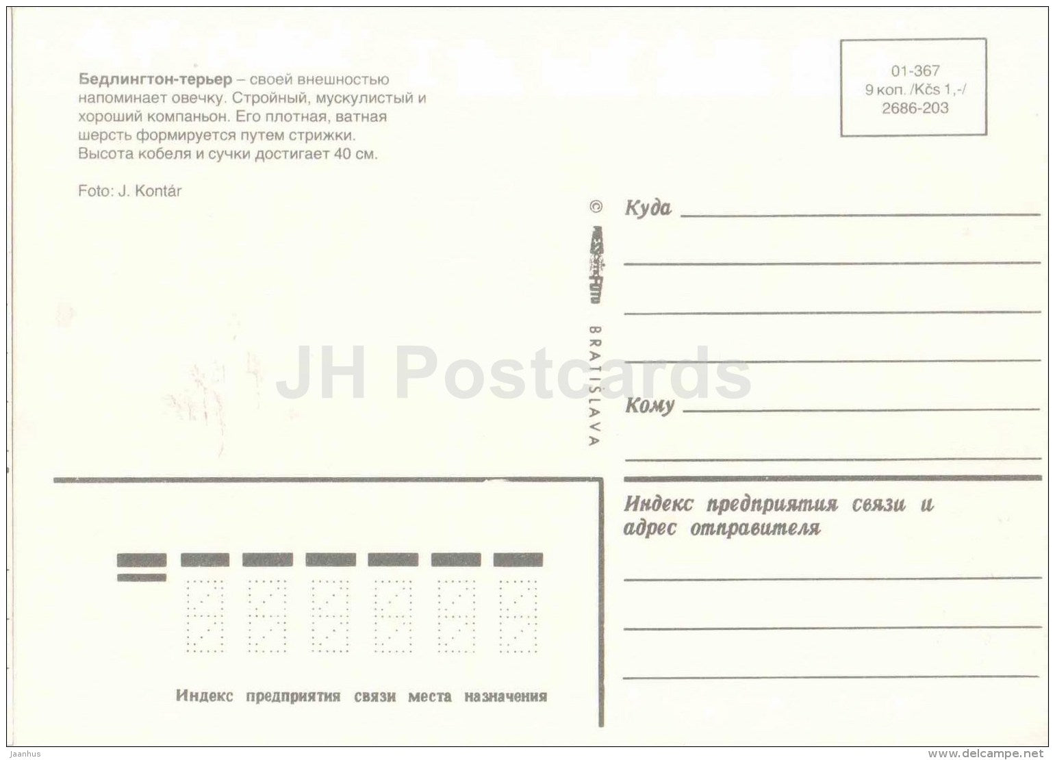 Bedlington Terrier - dog - Russia USSR - unused - JH Postcards