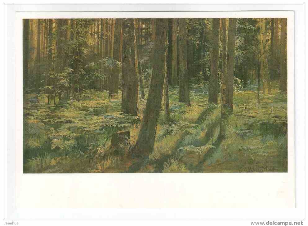 painting by I. I. Shishkin - Ferns in the Forest - russian art - unused - JH Postcards